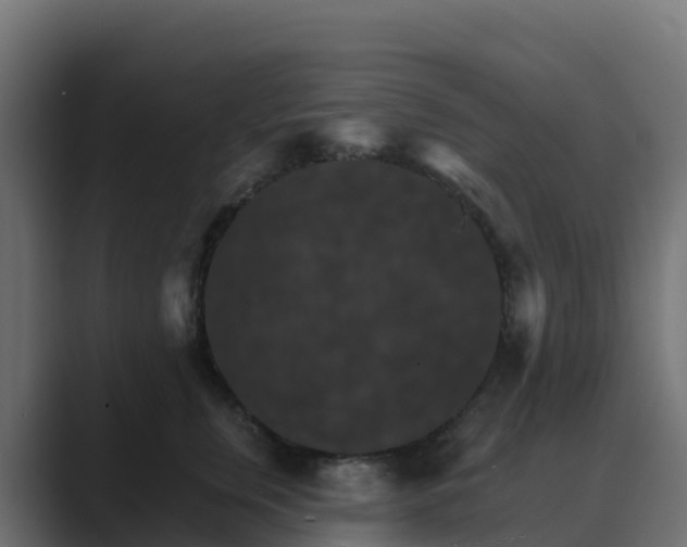 X0000089720759200706281530