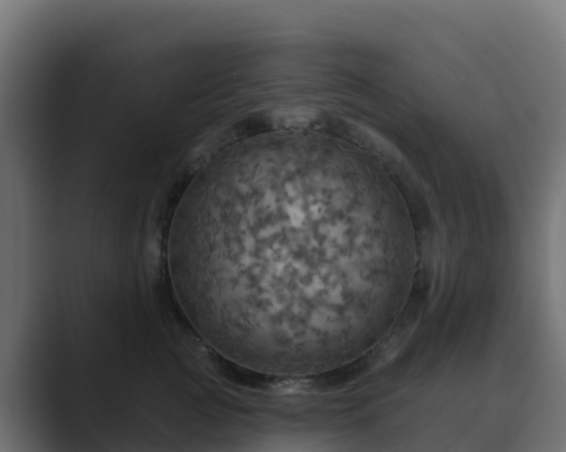 X0000089720761200706281530