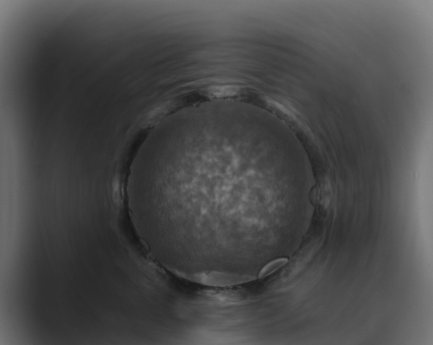 X0000089720763200706281530