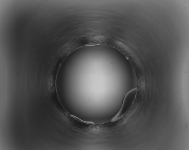 X0000089720764200706281531