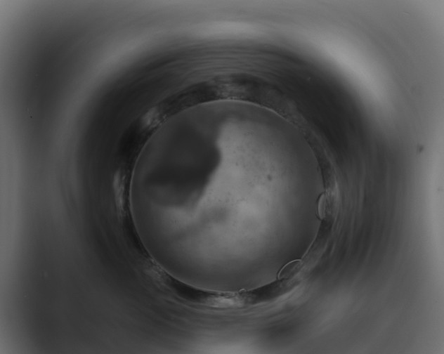 X0000089720765200706281531