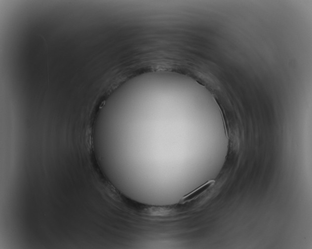 X0000089720766200706281531