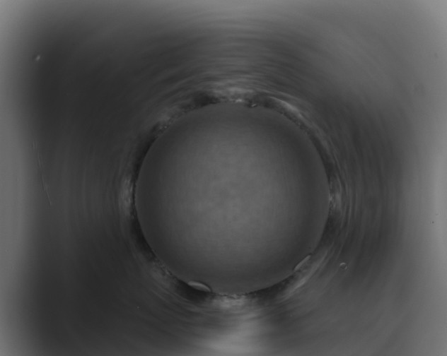 X0000089720767200706281531