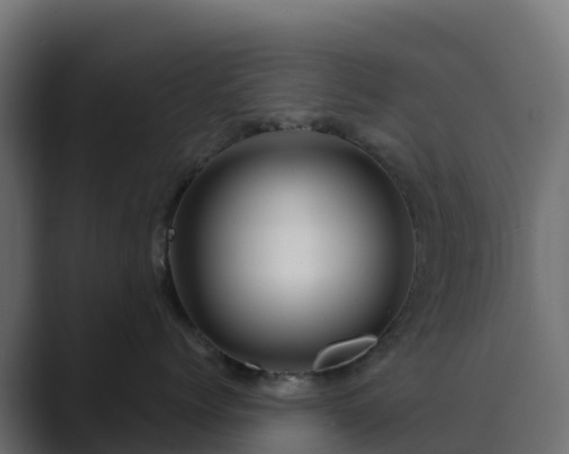 X0000089720768200706281531