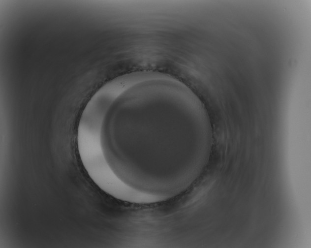 X0000089720769200706281530