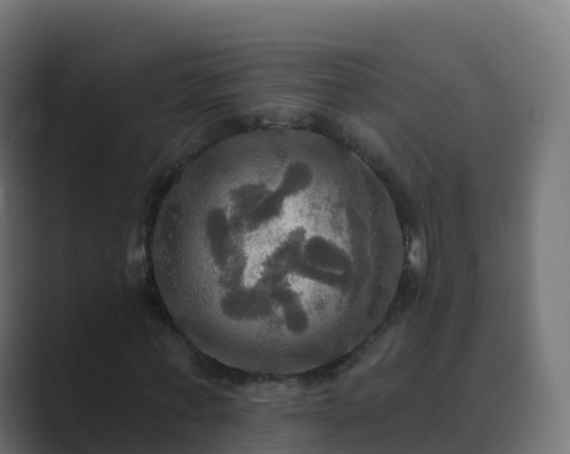 X0000089720771200706281530