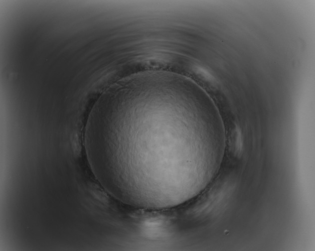 X0000089720774200706281530