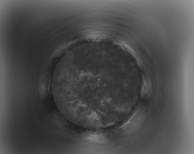 X0000089720775200706281530