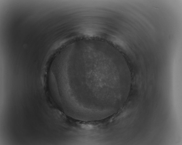 X0000089720776200706281530