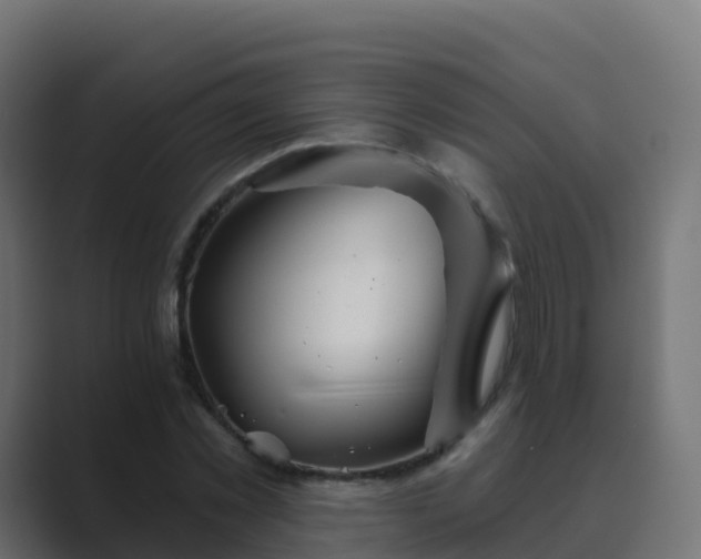 X0000089720781200706281530