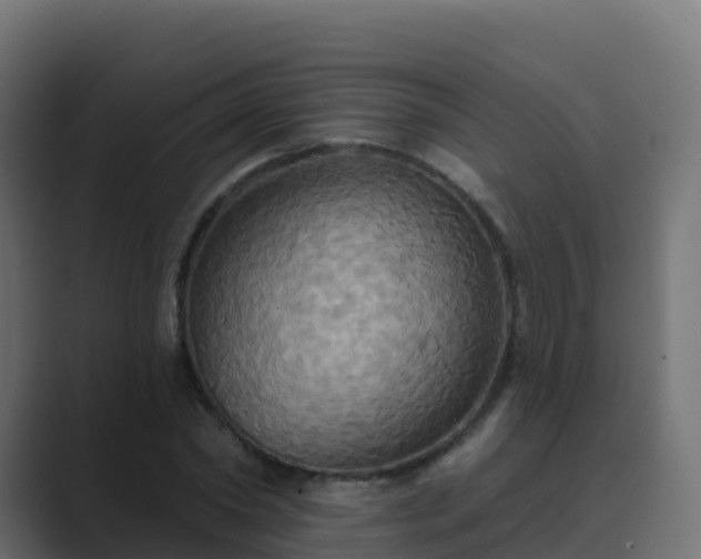 X0000089720782200706281530