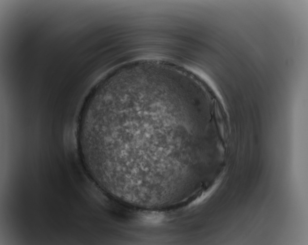 X0000089720783200706281530