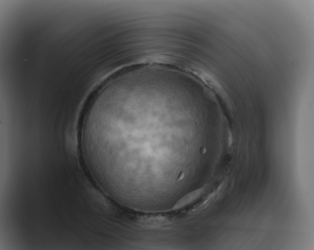 X0000089720784200706281530