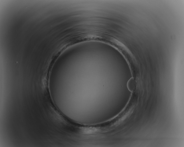X0000089720785200706281530