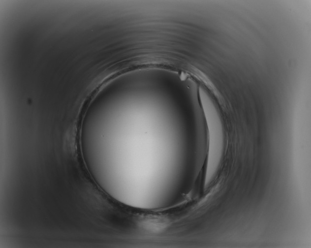 X0000089720786200706281530