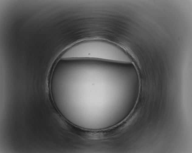 X0000089720789200706281530