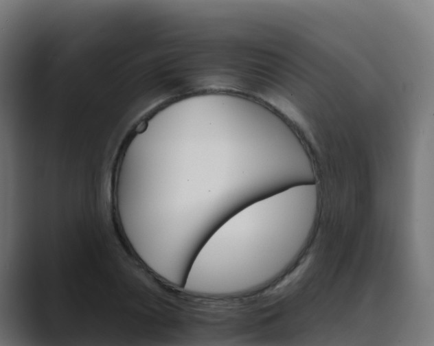 X0000089720790200706281530