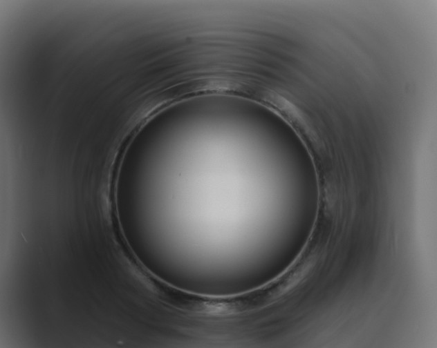 X0000089720794200706281530