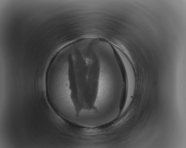 X0000089720795200706281530
