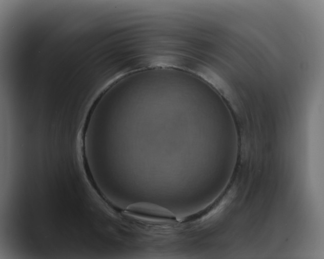 X0000089720798200706281529