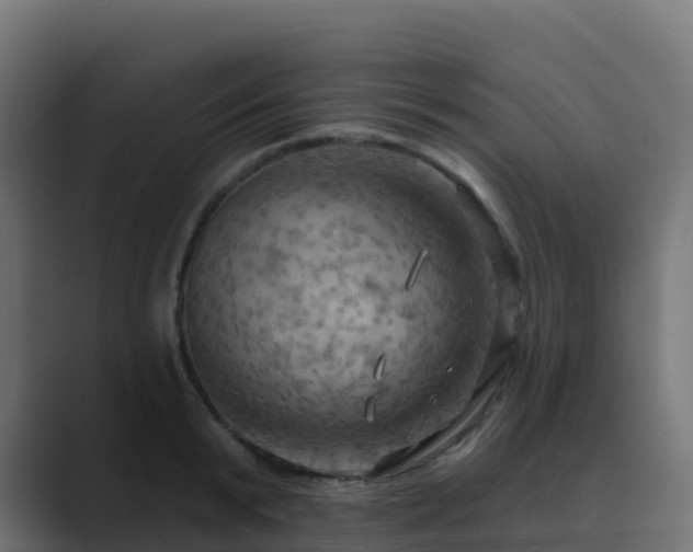 X0000089720799200706281529