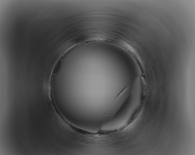 X0000089720802200706281529