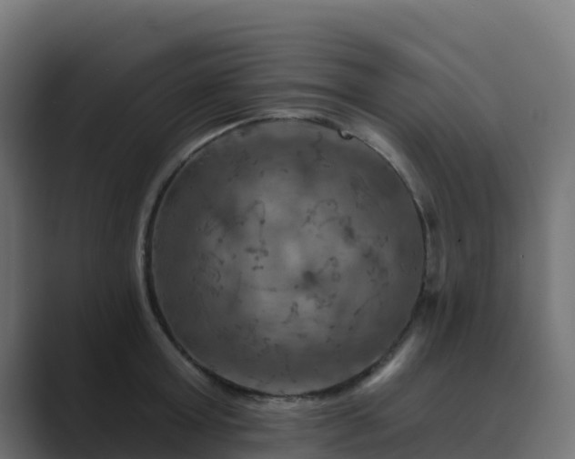 X0000089720803200706281529