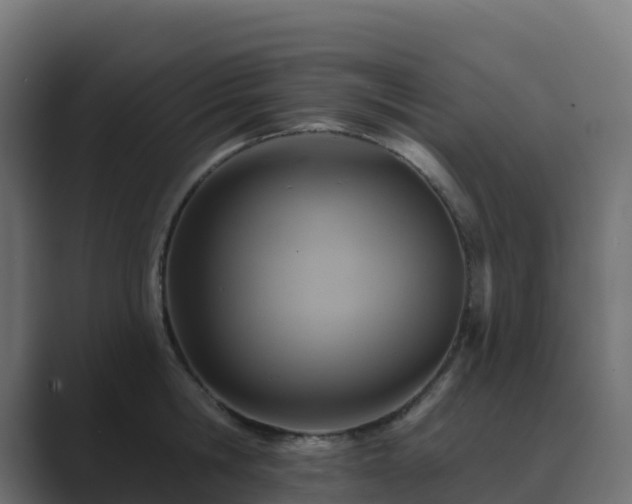 X0000089720806200706281529