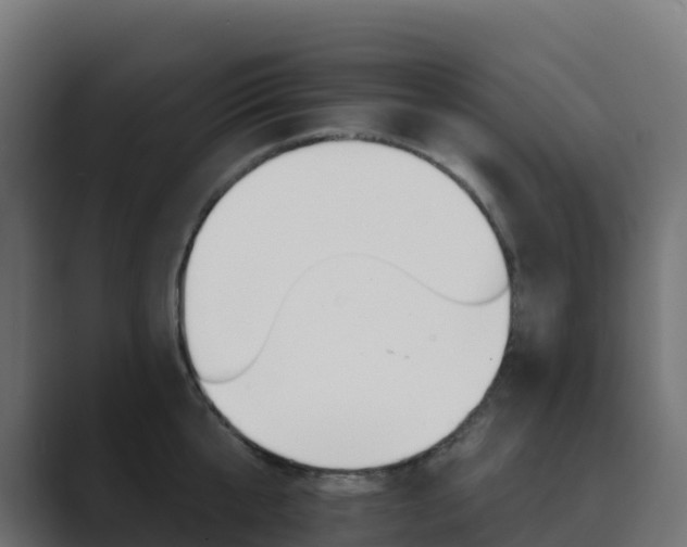 X0000089720807200706281529