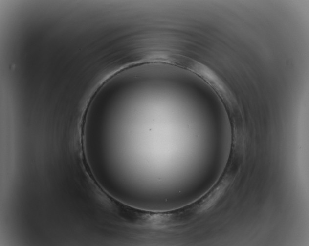 X0000089720808200706281529