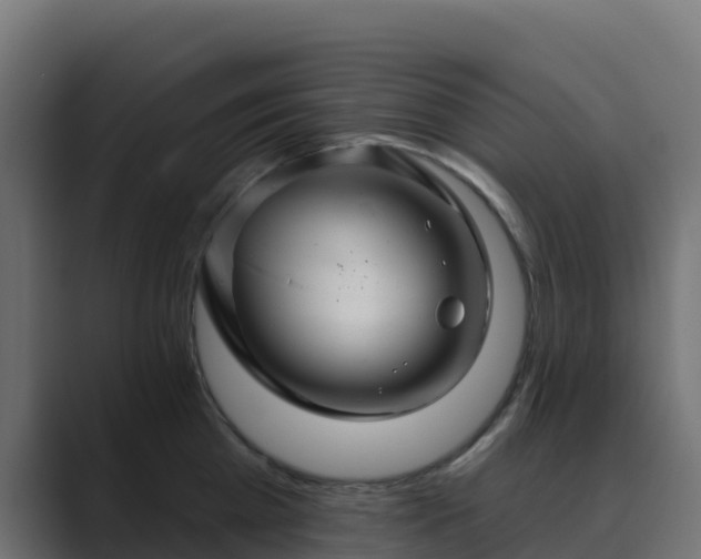 X0000089720809200706281529