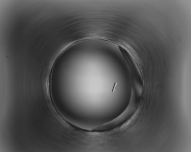 X0000089720812200706281529