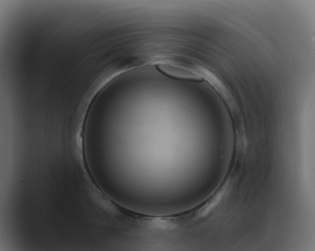 X0000089720814200706281529