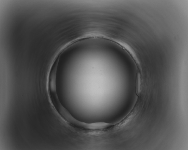 X0000089720815200706281529