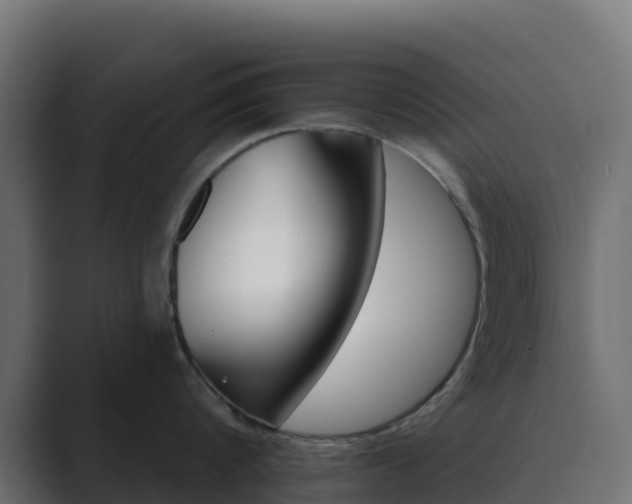 X0000089720816200706281529