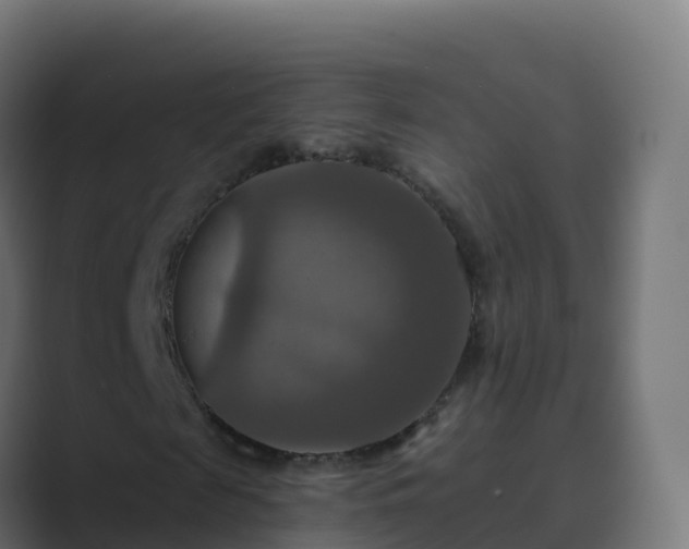 X0000089720817200706281529