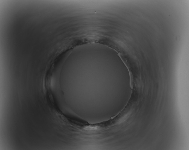 X0000089720818200706281529