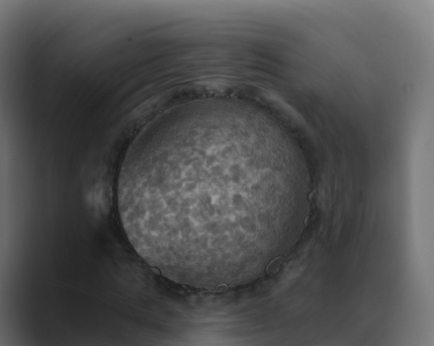 X0000089720821200706281529