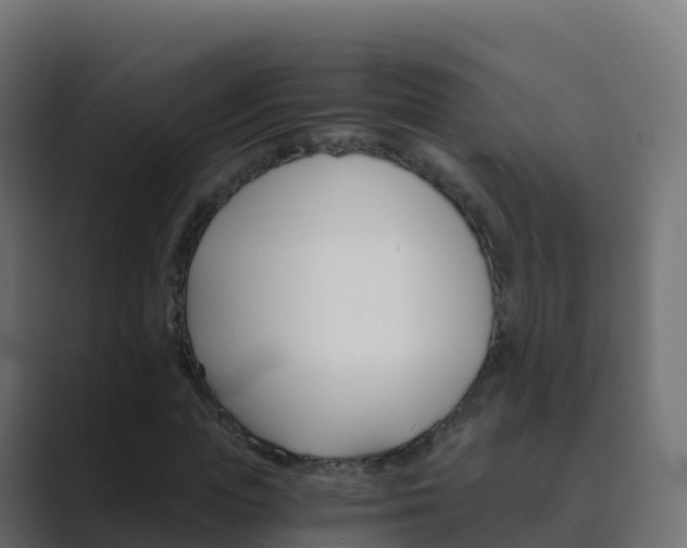 X0000089720823200706281529