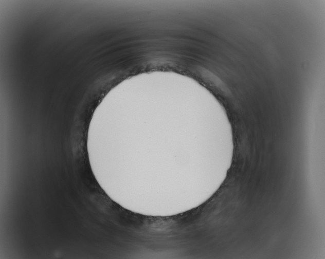 X0000089720824200706281529