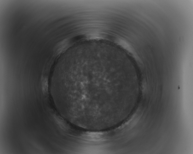 X0000089720825200706281529