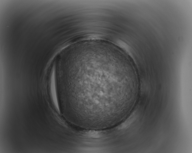 X0000089720827200706281529