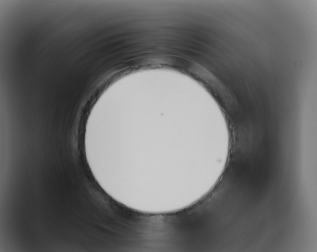 X0000089720828200706281529