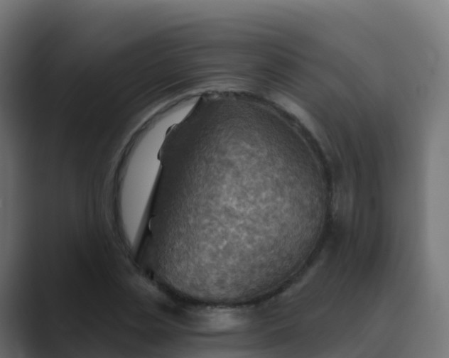 X0000089720829200706281529