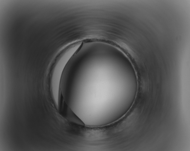 X0000089720830200706281529