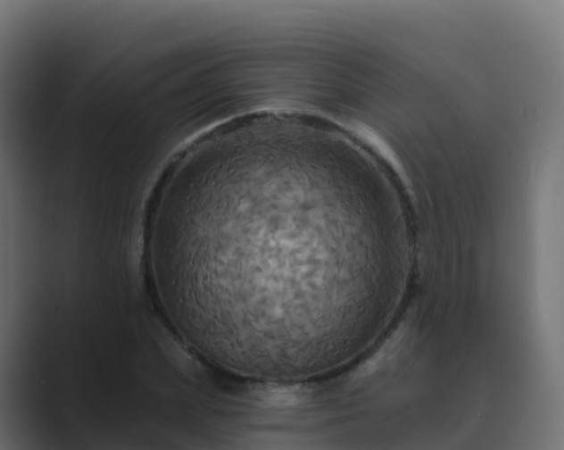 X0000089720831200706281529