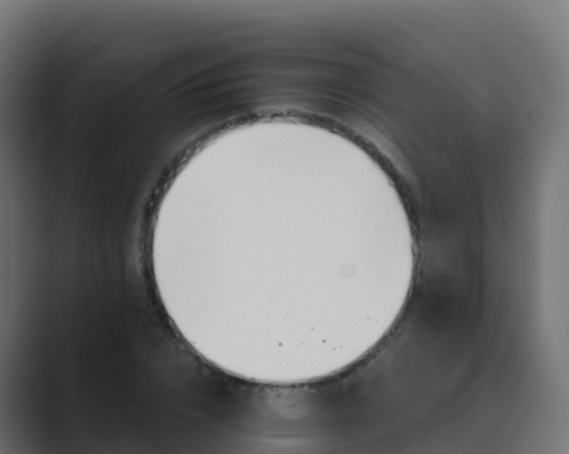X0000089720832200706281529