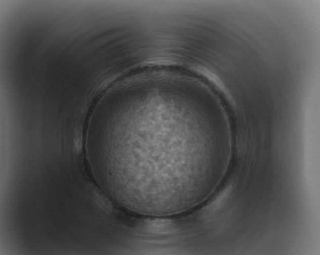 X0000089720833200706281529