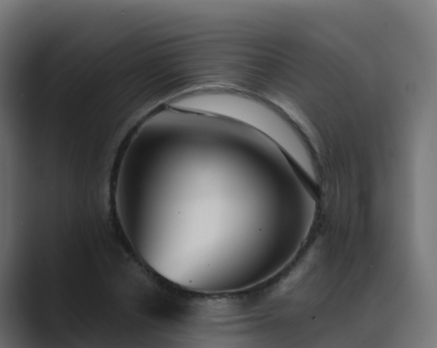 X0000089720834200706281529