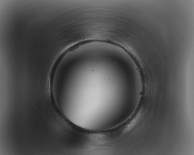 X0000089720838200706281529